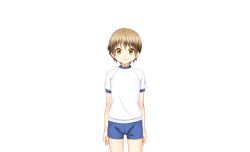 Rule 34 | 1boy, blue shorts, brown eyes, brown hair, child, complets, gym shorts, shin yagai gakushuu ~nudist camp hen~, shirt, shorts, takaya matsushita, white shirt