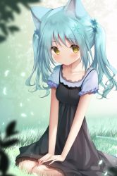 Rule 34 | 1girl, animal ear fluff, animal ears, bad id, bad pixiv id, black dress, blue flower, blue hair, blurry, blurry foreground, blush, brown eyes, cat ears, closed mouth, depth of field, dress, flower, frilled sleeves, frills, hair flower, hair ornament, looking at viewer, murano, on grass, original, outdoors, shirt, short sleeves, sitting, sleeveless, sleeveless dress, snowflake hair ornament, solo, twintails, wariza, white shirt
