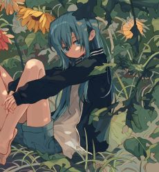 Rule 34 | 1girl, barefoot, black jacket, blue eyes, blue hair, blue shorts, closed mouth, flower, from side, highres, jacket, ka (marukogedago), hugging own legs, long hair, long sleeves, looking at viewer, looking to the side, open clothes, open jacket, original, shirt, shorts, sitting, solo, white shirt, yellow flower