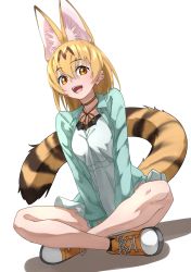 Rule 34 | 1girl, :d, alternate costume, animal ear fluff, animal ears, aqua jacket, blonde hair, casual, commentary, dress, extra ears, full body, hair between eyes, highres, indian style, jacket, kemono friends, looking at viewer, open mouth, orange eyes, serval (kemono friends), shoes, simple background, sitting, smile, solo, tail, tanabe (fueisei), white background, white dress