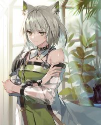 Rule 34 | 1girl, animal ear fluff, animal ears, arknights, bare shoulders, commentary request, dress, eihi, green dress, green eyes, kal&#039;tsit (arknights), long sleeves, looking at viewer, material growth, off-shoulder dress, off shoulder, oripathy lesion (arknights), plant, short hair, silver hair, solo, stethoscope, upper body