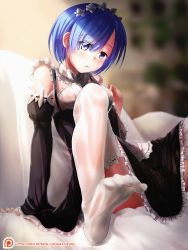 Rule 34 | 10s, 1girl, alternate legwear, apron, arm support, artist name, blue eyes, blue hair, blurry, blurry background, blush, breasts, detached sleeves, dress, embarrassed, eyebrows, feet, flower, frilled dress, frilled sleeves, frills, hair flower, hair ornament, hair over one eye, head wreath, highres, looking at viewer, maid, maid apron, matching hair/eyes, nakatokung, no pants, patreon, patreon username, petals, re:zero kara hajimeru isekai seikatsu, rem (re:zero), short hair, sitting, small breasts, soles, solo, text focus, thighhighs, toes, waist apron, watermark, web address, white thighhighs