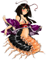 Rule 34 | antennae, artist request, black hair, blush, breasts, bug, centipede, centipede girl, extra arms, green eyes, arthropod girl, monster girl, personification, pussy