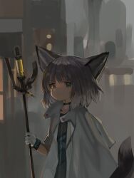 Rule 34 | 1girl, animal ear fluff, animal ears, arknights, black choker, black dress, blue eyes, choker, closed mouth, commentary request, dokomon, dress, fox ears, fox girl, fox tail, gloves, grey hair, highres, holding, holding staff, jacket, korean commentary, looking at viewer, open clothes, open jacket, short sleeves, solo, staff, sussurro (arknights), tail, unfinished, sketch background, white gloves, white jacket