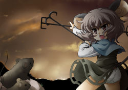 Rule 34 | 1girl, animal ears, capelet, dowsing rod, dress, grey dress, grey hair, holding, mepikari, mouse (animal), mouse ears, mouse tail, nazrin, open mouth, panties, pantyshot, red eyes, short hair, sky, solo, standing, tail, touhou, underwear, white panties, wind, wind lift