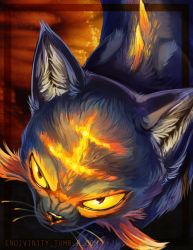 Rule 34 | angry, cat, creature, creatures (company), endivinity, face, from above, game freak, gen 7 pokemon, litten, looking up, nintendo, no humans, pokemon, pokemon (creature), pokemon sm, realistic, solo, watermark, web address, whiskers, yellow eyes