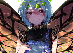 Rule 34 | 1girl, :&gt;, artist name, black dress, blue hair, butterfly wings, commentary, dappled sunlight, dress, english commentary, eternity larva, euneun, flower, hair between eyes, holding, holding flower, insect wings, looking at viewer, one-hour drawing challenge, orange eyes, short hair, simple background, sleeveless, sleeveless dress, smile, solo, sunlight, touhou, upper body, white background, wings