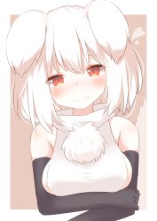 Rule 34 | 1girl, animal ears, bare shoulders, black gloves, blush, breasts, brown background, brown eyes, closed mouth, commentary request, cropped legs, daidai ookami, elbow gloves, fangs, fangs out, gloves, hair between eyes, heart, high collar, inubashiri momiji, medium breasts, shirt, short eyebrows, sideboob, sleeveless, sleeveless shirt, solo, tail, tail raised, thick eyebrows, touhou, two-tone background, upper body, white background, white hair, white shirt, wolf ears, wolf girl, wolf tail