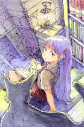 Rule 34 | 1girl, arm support, book, bow, cat, from above, from behind, hair bow, hirokazu, lantern, library, looking at viewer, looking back, original, purple eyes, purple hair, ribbon, sitting, sitting on stairs, solo, stairs