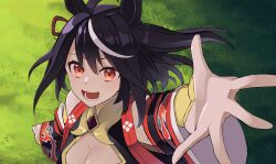 Rule 34 | 1girl, absurdres, ahoge, animal ears, black hair, breasts, cleavage, commentary request, detached sleeves, ear ornament, from above, grass, hair between eyes, highres, horse ears, horse girl, jacket, kitasan black (umamusume), long sleeves, looking at viewer, lower teeth only, medium breasts, open clothes, open jacket, open mouth, outdoors, outstretched hand, red eyes, reibun (raven1119), short hair, smile, solo, teeth, umamusume, wide sleeves