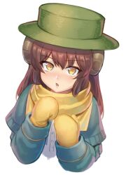 Rule 34 | 1girl, brown hair, fate/grand order, fate (series), fossil, green hat, hat, learning with manga! fgo, long hair, long sleeves, mary anning (fate), mittens, ranma (kamenrideroz), scarf, solo, upper body, white background, yellow eyes, yellow mittens, yellow scarf