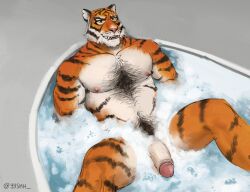 Rule 34 | 1boy, animal ears, bara, bathing, bathtub, chest tuft, completely nude, feet out of frame, flaccid, fortnite, from above, furry, furry male, hairy, large pectorals, male focus, male pubic hair, mature male, muscular, muscular male, nude, orange fur, oscar (fortnite), pectorals, penis, pubic hair, short hair, smile, solo, spread legs, thick chest hair, thick eyebrows, tiger boy, tiger ears, uncensored, white fur, yeshh (y3shh)