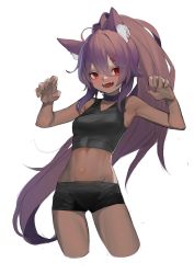 Rule 34 | 1girl, :d, ahoge, animal ear fluff, animal ears, armpits, bare arms, bare shoulders, black shorts, borrowed character, breasts, brown kemomimi-chan (krr), choker, claw pose, commentary request, crop top, cropped legs, dark-skinned female, dark skin, dungeon and fighter, fangs, hair between eyes, hair ornament, hairclip, heoningu, high ponytail, highres, korean commentary, linea alba, long hair, medium breasts, midriff, navel, open mouth, original, ponytail, purple choker, purple hair, red eyes, short shorts, shorts, sidelocks, simple background, sleeveless, smile, solo, stomach, teeth, very long hair, white background
