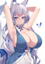 Rule 34 | 1girl, animal ear fluff, animal ears, armpits, arms up, azur lane, blue butterfly, blue ribbon, breasts, bug, butterfly, cleavage, commentary request, covered navel, fox ears, hair between eyes, hair ribbon, highres, huge breasts, insect, kitsune, kuavera, light purple hair, long hair, looking at viewer, purple eyes, ribbon, shinano (azur lane), shinano (dreams of the hazy moon) (azur lane), simple background, tail, upper body, very long hair, white background