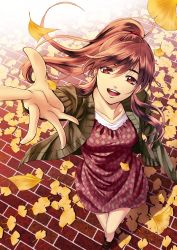 Rule 34 | 10s, 1girl, absurdres, arm up, brown hair, brown jacket, day, dress, floating hair, from above, fuuka, ginkgo leaf, hair between eyes, high ponytail, highres, hinashi koyuki, jacket, koyuki hinashi, leaf, long hair, looking at viewer, open clothes, open jacket, outdoors, red dress, red eyes, seo kouji, short dress, solo, very long hair