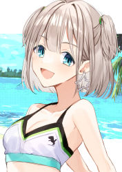 Rule 34 | 1girl, aqua eyes, blunt ends, blush, breasts, chobo ume, cleavage, collarbone, earrings, grey hair, highres, idolmaster, idolmaster shiny colors, jewelry, letterboxed, looking at viewer, palm tree, polka dot, polka dot background, serizawa asahi, smile, solo, star (symbol), star earrings, tree, two side up, upper body, water