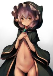 Rule 34 | 10s, 1girl, bad id, bad twitter id, blush, brown eyes, cloak, closed mouth, cowboy shot, gem, granblue fantasy, highres, hood, long sleeves, looking at viewer, minigob, naked cloak, navel, pointy ears, pussy, short hair, silver hair, smile, snm (sunimi), solo, stomach, uncensored, wide sleeves
