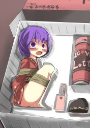Rule 34 | 1girl, absurdres, bdsm, blush, bondage, bound, bowl, box, crying, egg vibrator, flat chest, frogtie, gaoo (frpjx283), highres, in box, in container, japanese clothes, kimono, mini person, minigirl, open mouth, purple eyes, purple hair, remote control vibrator, sex toy, short hair, solo, sukuna shinmyoumaru, text focus, touhou, translated, vibrator