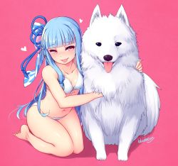 Rule 34 | 1girl, artist name, bare arms, bare legs, barefoot, bikini, blue hair, blue ribbon, blueberry (5959), blunt bangs, breasts, cleavage, collarbone, dog, full body, hair ribbon, halterneck, heart, highres, kneeling, kotonoha aoi, long hair, looking at viewer, medium breasts, navel, pink background, red eyes, ribbon, simple background, smile, solo, swimsuit, voiceroid, white bikini