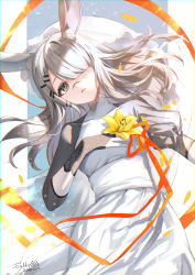 Rule 34 | 1girl, absurdres, animal ears, arknights, black gloves, cowboy shot, dress, dutch angle, fingerless gloves, flower, frostnova (arknights), gloves, grey eyes, grey hair, hair ornament, hair over one eye, hairclip, highres, holding, holding flower, looking at viewer, lying, on back, one eye covered, rabbit ears, rabbit girl, red ribbon, ribbon, sallyzaemon, sash, scar, scar on face, scar on nose, signature, solo, white dress, white sash, yellow flower