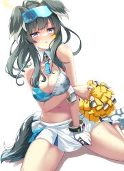 Rule 34 | 1girl, animal ears, arm under breasts, bare legs, black hair, blue archive, blush, bracelet, breasts, cheerleader, cleavage, collar, dog ears, dog tail, facepaint, gloves, goggles, goggles on head, halo, hibiki (blue archive), hibiki (cheer squad) (blue archive), holding, holding pom poms, jewelry, kneeling, looking at viewer, medium breasts, millennium cheerleader outfit (blue archive), miniskirt, navel, official alternate costume, partially fingerless gloves, pleated skirt, pom pom (cheerleading), pom poms, ponytail, sidelocks, simple background, skirt, skirt tug, solo, sports bra, star (symbol), stomach, sweat, tail, tail under clothes, tetranono, two-tone sports bra, white background
