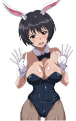 Rule 34 | 1girl, animal ears, arobiro, black hair, blush, breasts, fake animal ears, fishnet pantyhose, fishnets, gloves, highres, large breasts, looking at viewer, open mouth, pantyhose, playboy bunny, rabbit ears, red eyes, shimohara sadako, short hair, simple background, solo, strike witches, white background, world witches series