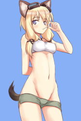 Rule 34 | 1girl, a9b (louis814), animal ears, blonde hair, blue background, blue eyes, breasts, carla j. luksic, cat ears, cat tail, covered erect nipples, goggles, goggles on head, groin, highres, kadokawa shoten, long hair, lowleg, navel, no panties, short shorts, shorts, simple background, small breasts, solo, strapless, strike witches, tail, tube top, twintails, white tube top, world witches series