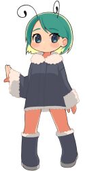 Rule 34 | 1girl, alternate costume, antennae, blue eyes, blush, boots, closed mouth, coat, commentary, expressionless, flat chest, full body, fur-trimmed boots, fur coat, fur trim, green hair, grey background, grey coat, highres, long sleeves, looking at viewer, medium bangs, short hair, simple background, solo, standing, swept bangs, touhou, ugif, white background, wriggle nightbug