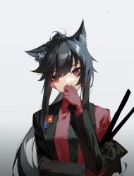 Rule 34 | 1girl, animal ear fluff, animal ears, arknights, black hair, black jacket, black necktie, breasts, collared shirt, gloves, gradient background, grey background, hand on own face, highres, jacket, long hair, long sleeves, looking away, looking to the side, medium breasts, necktie, off shoulder, official alternate costume, open clothes, open jacket, owenhiruno, ponytail, red eyes, red gloves, red shirt, shirt, sidelocks, solo, texas (arknights), texas (willpower) (arknights), upper body, wolf ears