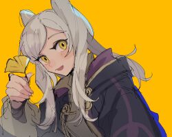 Rule 34 | 1girl, :d, black robe, blush, fire emblem, fire emblem awakening, ginkgo leaf, grey shirt, highres, holding, holding leaf, hood, hood down, hooded robe, kurimori, leaf, long hair, long sleeves, looking at viewer, nintendo, open mouth, robe, robin (female) (fire emblem), robin (fire emblem), shirt, sidelocks, simple background, smile, solo, twintails, upper body, white hair, yellow background, yellow eyes