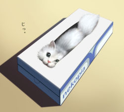 Rule 34 | animal focus, cat, kitten, no humans, original, samo (niroko2275), shadow, simple background, tissue box