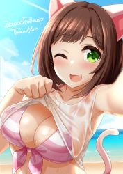 Rule 34 | 1girl, :d, animal ears, armpits, blush, breasts, brown hair, cat ears, cat tail, cleavage, clothes lift, fang, green eyes, highres, idolmaster, idolmaster cinderella girls, kibihimi, looking at viewer, maekawa miku, one eye closed, open mouth, shirt, shirt lift, short hair, smile, solo, swimsuit, tail, wet, wet clothes, wet shirt