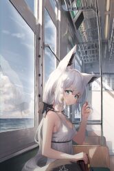 Rule 34 | 1girl, absurdres, animal ear fluff, animal ear piercing, animal ears, bare shoulders, blue eyes, bookey, braid, brown bag, closed mouth, cloud, commentary request, dress, flower, fox ears, fox girl, fox tail, grey hair, hair flower, hair ornament, hand up, highres, hololive, indoors, long hair, looking at viewer, ocean, pentagram, playing with own hair, reflection, shirakami fubuki, side braid, sitting, sky, solo, tail, train interior, virtual youtuber, white dress