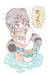 Rule 34 | 1girl, alternate costume, animal ears, bare arms, bare legs, bare shoulders, bikini, blue bikini, blush, cat ears, cat girl, cat tail, commentary, commentary request, embarrassed, fang, flying sweatdrops, frilled bikini, frills, grey hair, highres, kemono friends, kemono friends 3, mitsumoto jouji, multicolored hair, open mouth, pallas&#039;s cat (kemono friends), short hair, simple background, sleeveless, solo, swimsuit, tail, translated, wading, water, white background, yellow eyes