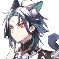Rule 34 | 1boy, ahoge, animal ears, bare shoulders, bead necklace, beads, black hair, cat ears, cat tail, closed mouth, eyes visible through hair, facial mark, forehead mark, genshin impact, green hair, highres, jewelry, long hair, looking to the side, male focus, multicolored hair, necklace, parted bangs, shoulder spikes, simple background, sleeveless, slit pupils, solo, spikes, tail, white background, xiao (genshin impact), yellow eyes, zumi tiri