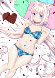 Rule 34 | 10s, 1girl, absurdres, animal ears, bare shoulders, bed sheet, bikini, blue eyes, blunt bangs, blush, box, candy, cat ears, cat tail, chocolate, chocolate heart, collarbone, commentary, commission, english commentary, food, frilled bikini, frills, gluteal fold, heart, heart-shaped box, highres, letter, long hair, looking at viewer, love letter, low twintails, nekopara, petals, pillow, plaid, plaid bikini, ryuu shuo, solo, swimsuit, tail, tail ornament, thigh gap, twintails, valentine, vanilla (nekopara), white hair