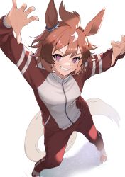 Rule 34 | 1girl, :d, absurdres, animal ears, arms up, blush, breasts, brown hair, claw pose, ear ornament, from above, full body, grin, highres, horse ears, horse girl, horse tail, jacket, long sleeves, looking at viewer, looking up, medium breasts, multicolored clothes, multicolored hair, multicolored jacket, open mouth, pants, pink eyes, red pants, sansai soba, shinko windy (umamusume), short hair, simple background, smile, solo, standing, tail, teeth, track jacket, track pants, two-tone hair, two-tone jacket, umamusume, v-shaped eyebrows, white background, white hair, zipper