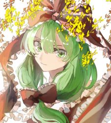 Rule 34 | 1girl, bow, closed mouth, dress, eyebrows hidden by hair, flower, flower request, frilled bow, frilled shirt collar, frills, front ponytail, green eyes, green hair, hair between eyes, hair bow, highres, kagiyama hina, light blush, light smile, long hair, looking at viewer, nanataru10, red bow, red dress, simple background, solo, touhou, upper body, white background, yellow flower