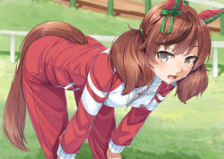 Rule 34 | 1girl, animal ears, bent over, bow, brown eyes, brown hair, ear covers, ear ribbon, grass, green ribbon, horse ears, horse girl, horse tail, jacket, long hair, long sleeves, looking at viewer, miri (ago550421), nice nature (umamusume), outdoors, red track suit, ribbon, short hair, solo, sweat, tail, tracen training uniform, track jacket, track suit, twintails, umamusume, unzipped, zipper