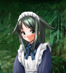 Rule 34 | 1girl, alternate costume, blush, cosplay, enmaided, exif thumbnail surprise, female focus, green background, green eyes, green hair, long hair, looking at viewer, maid, maid headdress, matching hair/eyes, saya (saya no uta), saya no uta, simple background, solo, uniform, upper body