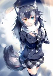 Rule 34 | 10s, 1girl, animal ears, black hair, black thighhighs, blue eyes, blush, breasts, fang, fur collar, gloves, grey wolf (kemono friends), heterochromia, highres, kanzakietc, kemono friends, large breasts, long hair, long sleeves, looking at viewer, multicolored hair, necktie, open mouth, silver hair, skirt, smile, solo, standing, tail, thighhighs, two-tone hair, wolf ears, wolf tail, yellow eyes