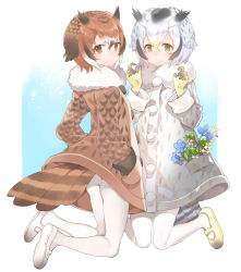 Rule 34 | 10s, 2girls, ass, bad id, bad pixiv id, black hair, blonde hair, blush, brown eyes, brown hair, closed mouth, coat, eurasian eagle owl (kemono friends), flower, full body, fumako, fur collar, gloves, hair between eyes, hand in pocket, kemono friends, legs up, long sleeves, mary janes, multiple girls, northern white-faced owl (kemono friends), pantyhose, shoes, smile, tail, two side up, white footwear, white legwear, yellow footwear, yellow gloves