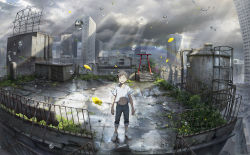 Rule 34 | 1boy, after rain, arms at sides, bare arms, beitemian, black hair, blurry, brown eyes, building, clothes lift, cloud, cloudy sky, depth of field, flower, grass, highres, industrial pipe, ladder, leaf, light rays, looking at viewer, male focus, morishima hodaka, navel, outdoors, pants, pants rolled up, petals, plant, puddle, railing, rainbow, rooftop, rubble, shibuya (tokyo), shinjuku (tokyo), shinto, shirt, shirt lift, shoes, short sleeves, shrine, sky, skyscraper, sneakers, solo, stairs, standing, sunlight, surprised, t-shirt, tenki no ko, tile floor, tiles, tokyo (city), torii, upshirt, water drop, water tank, white footwear, white shirt, wind, wind lift, yellow flower, yoyogi
