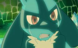Rule 34 | animated, animated gif, creatures (company), crying, game freak, gen 4 pokemon, lowres, lucario, nintendo, no humans, pokemon, pokemon (anime), pokemon (creature)
