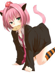 Rule 34 | 1girl, animal ears, beelzebub (manga), cat ears, cat tail, food, green eyes, lamia (beelzebub), necktie, pink hair, short hair, socks, tail