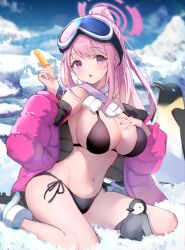 Rule 34 | 1girl, bikini, bird, black bikini, blue archive, blush, breasts, cleavage, commentary, double-parted bangs, eimi (blue archive), eimi (swimsuit) (blue archive), food, goggles, goggles on head, hair between eyes, halo, highres, holding, holding food, holding popsicle, large breasts, looking at viewer, navel, official alternate costume, official alternate hairstyle, open mouth, penguin, pink hair, pink halo, ponytail, popsicle, purple eyes, scarf, side-tie bikini bottom, sitting, ski goggles, snow, stomach, swimsuit, tomo (tomosa011326), wariza, white footwear, white scarf
