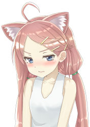 Rule 34 | 1girl, ahoge, animal ear fluff, animal ears, bare shoulders, blue eyes, blush, breasts, cat ears, closed mouth, collarbone, forehead, hair ornament, hairclip, highres, hinata channel, jd (bibirijd), long hair, looking at viewer, low twintails, nekomiya hinata, parted bangs, pink hair, shirt, small breasts, solo, tank top, twintails, v-shaped eyebrows, very long hair, virtual youtuber, white shirt