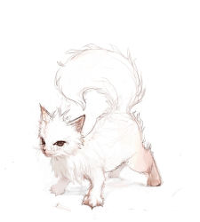 Rule 34 | animal, cat, claws, no humans, simple background, tachikawa mushimaro, tail