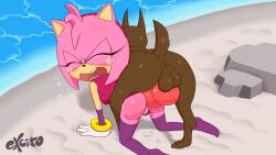 Rule 34 | amy rose, anal, animal penis, ass, beach, bestiality, bottomless, crying, dog, excito, highres, knotted penis, pain, public indecency, pussy, pussy juice, sonic (series), tears