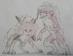Rule 34 | 10s, absurdres, alternate form, animal ears, claws, creatures (company), dog ears, fang, fangs, fighting stance, full body, furry, furry male, game freak, gen 7 pokemon, highres, kokuka (kyojaku24), looking at viewer, lycanroc, lycanroc (midday), lycanroc (midnight), mohawk, nintendo, no humans, open mouth, pokemon, pokemon (creature), pokemon sm, sharp teeth, sketch, spot color, standing, tail, teeth, tongue, tongue out, werewolf
